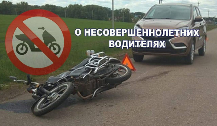 Госавтоинспекция напоминает, что за управление несовершеннолетним водителем (по достижению им возраста 16 лет) мопедом, скутером, мотоциклом,….